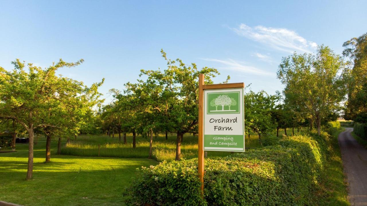 Orchard Farm Luxury Glamping And Campsite Гластонбері Екстер'єр фото