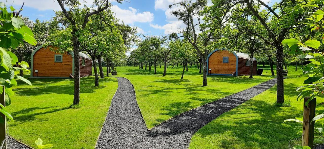 Orchard Farm Luxury Glamping And Campsite Гластонбері Екстер'єр фото