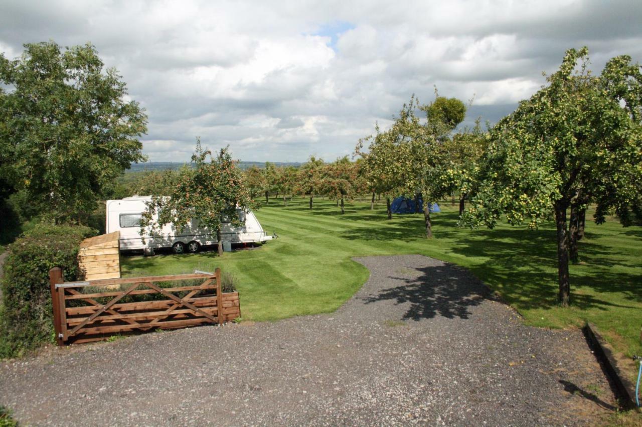 Orchard Farm Luxury Glamping And Campsite Гластонбері Екстер'єр фото